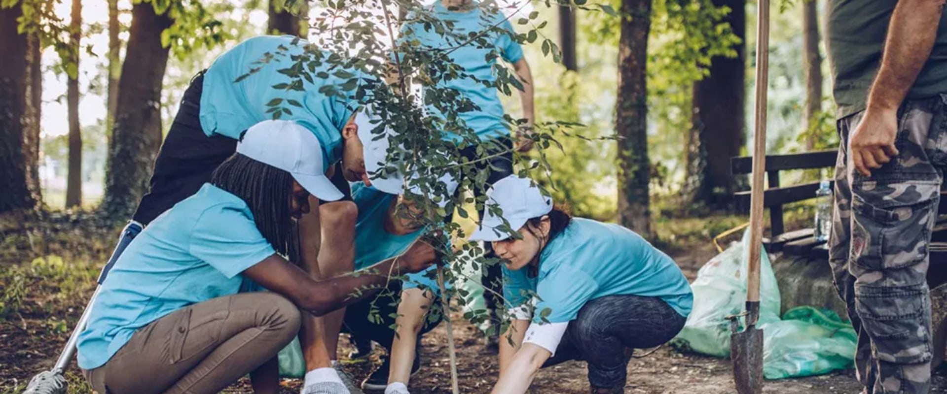 Engaging the Community: How Nonprofit Organizations in Minneapolis, MN Make a Difference