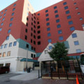 Finding the Perfect Nonprofit Organization to Donate to in Minneapolis, MN