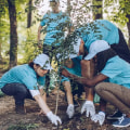 Engaging the Community: How Nonprofit Organizations in Minneapolis, MN Make a Difference
