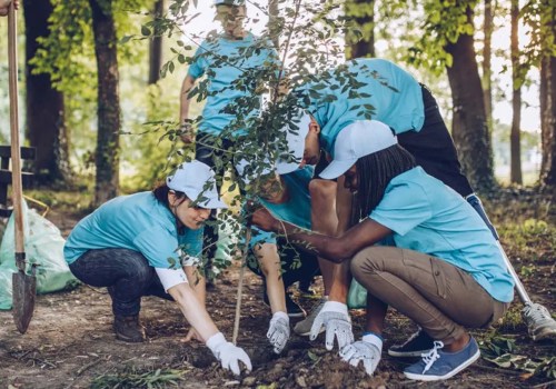 Engaging the Community: How Nonprofit Organizations in Minneapolis, MN Make a Difference